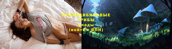 а пвп мука Медногорск