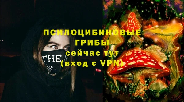a pvp Яровое