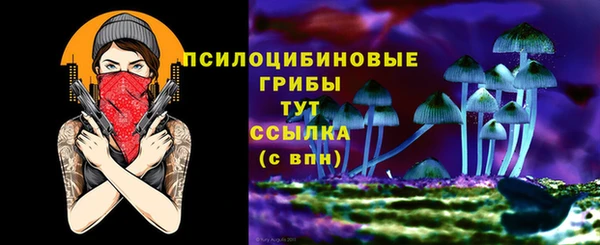 spice Михайловск