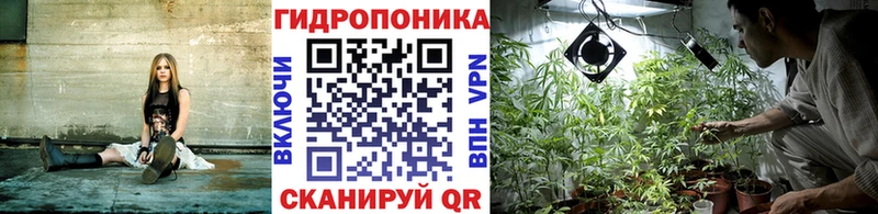 mega онион  Западная Двина  Канабис семена 